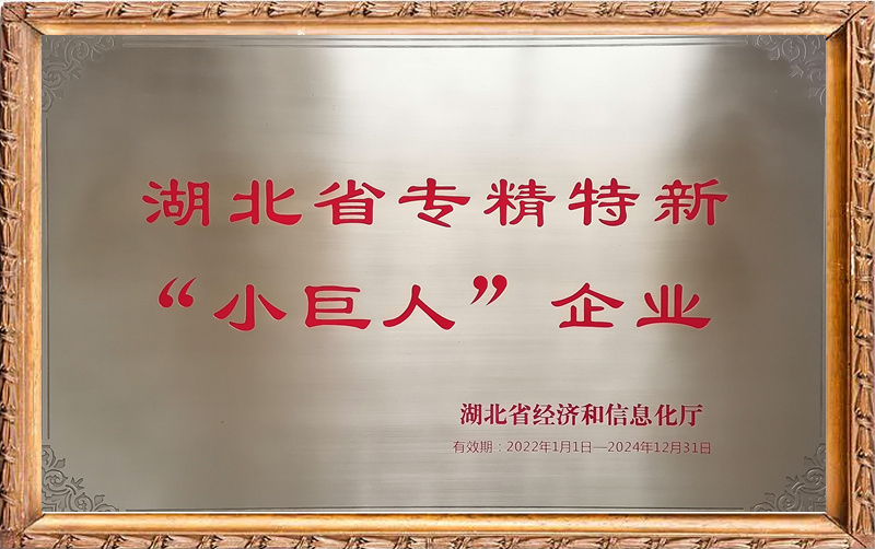 湖北省專精特新“小巨人”企業(yè)